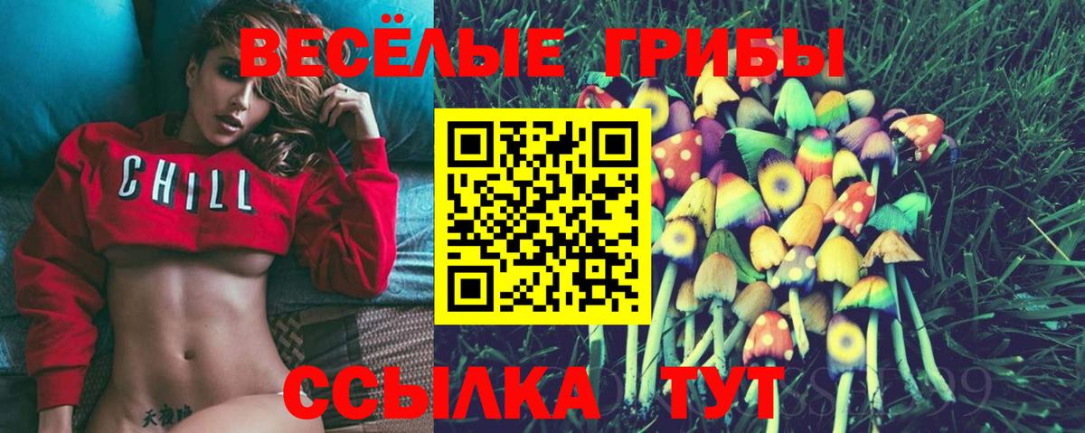 Псилоцибиновые грибы Magic Shrooms Похвистнево