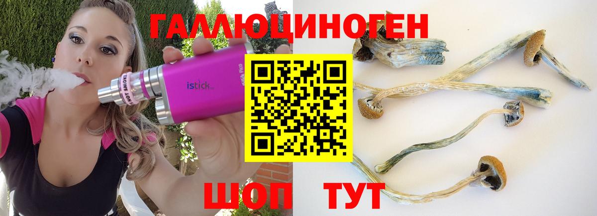 Похвистнево  как найти наркотики  Вход с VPN  Галлюциногенные грибы прущие грибы 